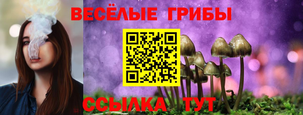 Москва  где купить   Вход с VPN  Псилоцибиновые грибы MAGIC MUSHROOMS 